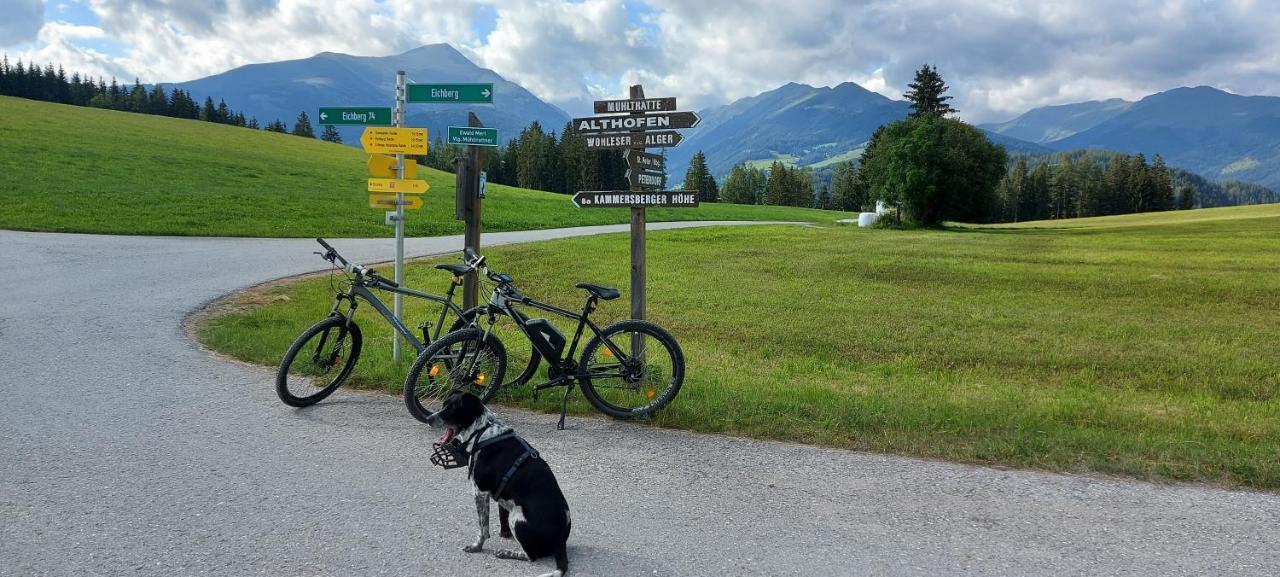 Camping Bella Austria Sankt Peter am Kammersberg Esterno foto