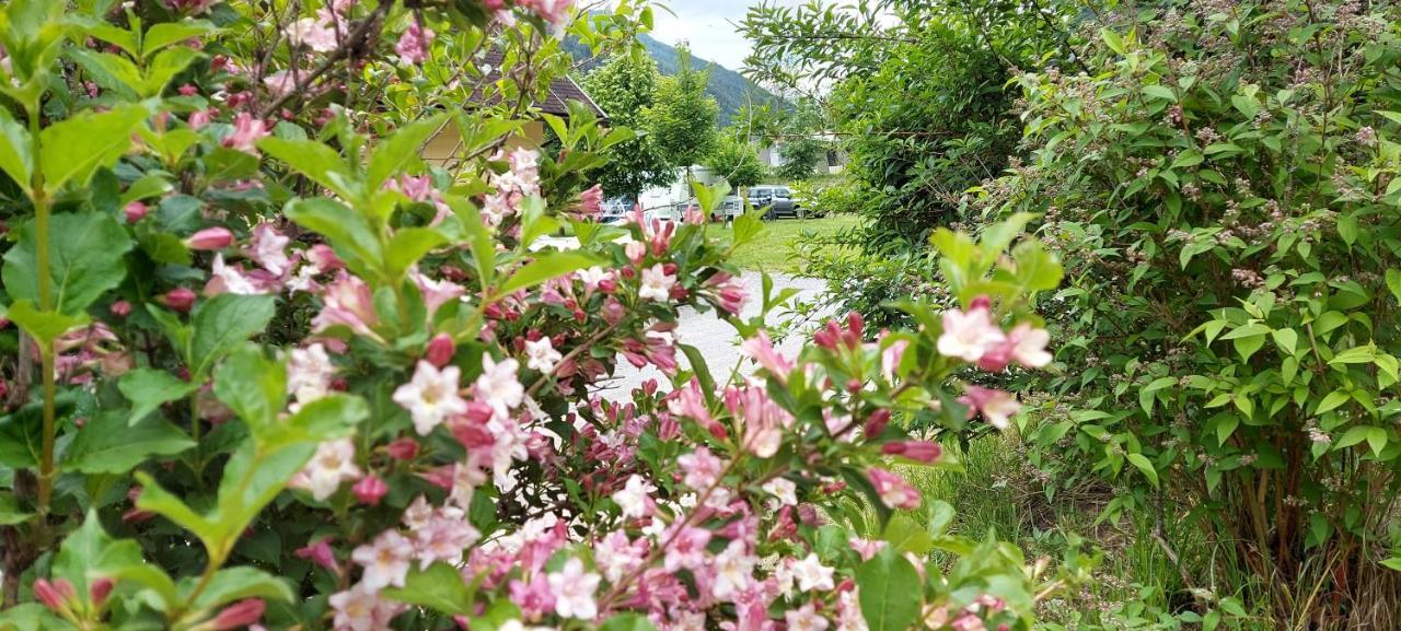 Camping Bella Austria Sankt Peter am Kammersberg Esterno foto