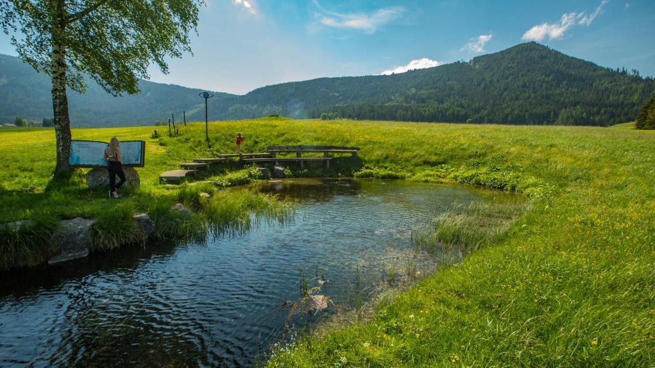 Camping Bella Austria Sankt Peter am Kammersberg Esterno foto